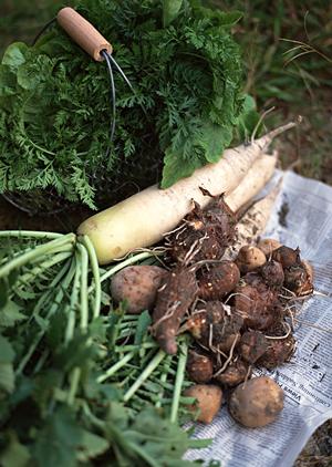 心斎橋のおすすめカフェ完全ガイド｜2025年最新版の人気店と絶品スイーツ