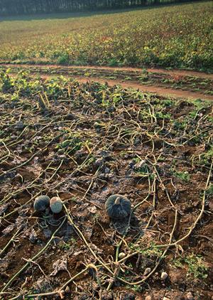 三宮のバーを徹底攻略！2026年最新のおすすめスポットと楽しみ方