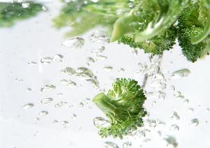 「銀座で楽しむ極上の焼き鳥体験！選りすぐりの名店ガイド」