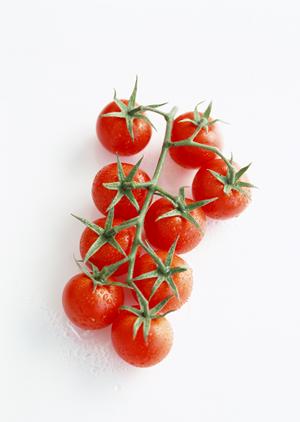 新宿で楽しむボードゲームカフェの魅力！初心者も安心のおすすめスポットと遊び方ガイド