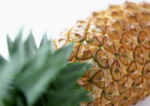 岡山県津山市の老舗お弁当店「つるや」の魅力とサービス概要