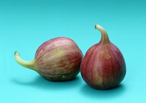 東京都江東区の隠れ家スポット！魅力満載のスナックをご紹介