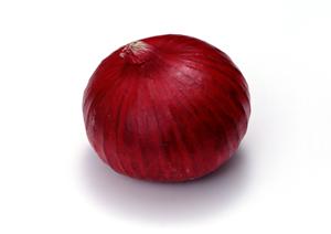 秋葉原の居酒屋「かまどか」：鶏素揚げ・釜めしを楽しむ特別な空間