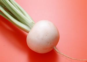 新橋で味わえる絶品焼き牡蠣と海鮮料理！「かき小屋 新橋店」の魅力と店舗情報