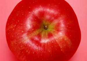 飽きない無料講座が人気の断食道場