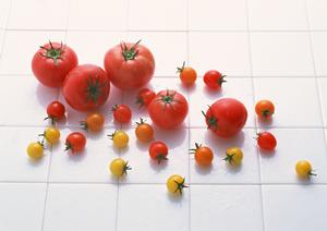 高品質な製菓材料は通販で購入しよう